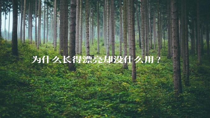为什么长得漂亮却没什么用?