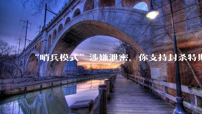“哨兵模式”涉嫌泄密，你支持封杀特斯拉吗？