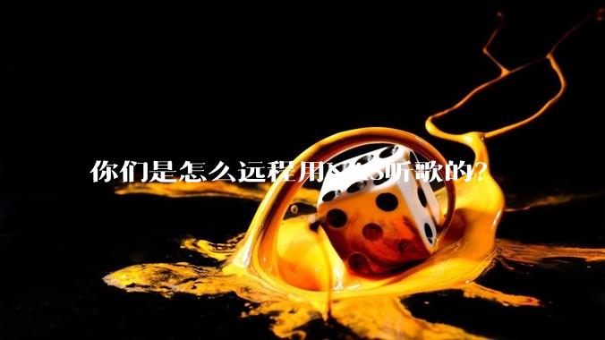 你们是怎么远程用NAS听歌的？