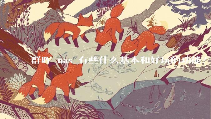 群晖 nas 有些什么基本和好玩的功能？