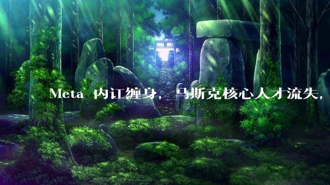 Meta 内讧缠身，马斯克核心人才流失，中国AI迎来历史机遇_Wang_扎克伯格_团队