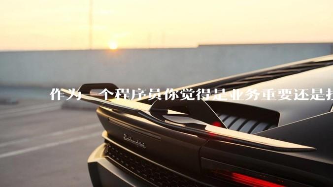 作为一个程序员你觉得是业务重要还是技术重要？